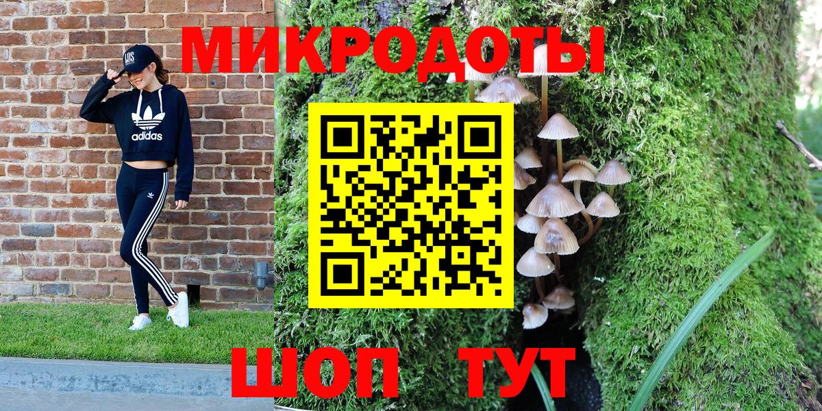 купить наркотик  Галлюциногенные грибы мицелий  Новокубанск  Вход с VPN  Галлюциногенные грибы Psilocybine cubensis 