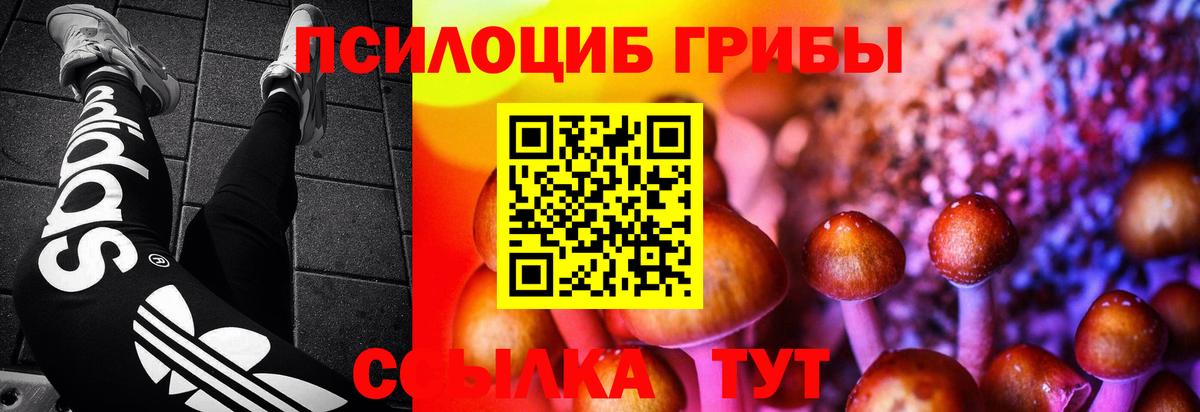 Псилоцибиновые грибы мухоморы Новокубанск